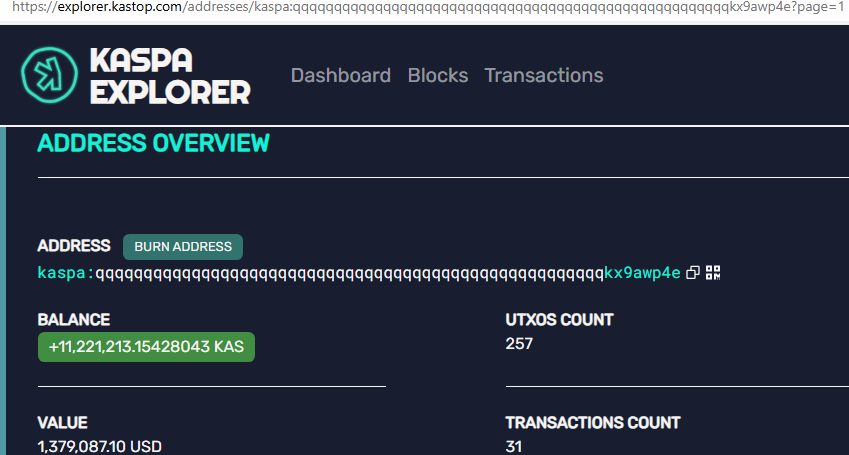 Kaspa奇特的“烧毁地址”