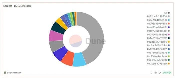 图 2：BlackRock BUIDL 代币持有分布图（数据截至于 2024 年 10 月 17 日）